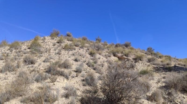 Murcia - Abanilla - 43684m2