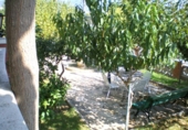 Urban land for sale on España, Esparreguera, ref: TR124831 photo