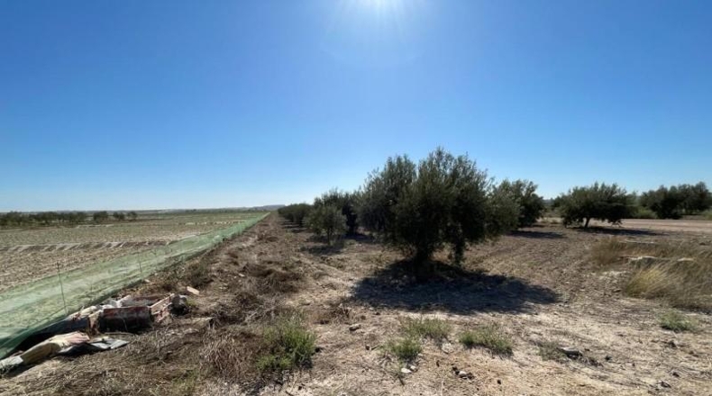 Múrcia - Mazarrón - 30768m2
