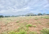 Non-developable land for sale on España, Lorca, ref: TR125182 photo