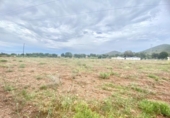 Non-developable land for sale on España, Lorca, ref: TR125182 photo