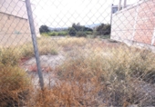 Sòl urbà en venda a la España, Archena, ref.: TR125206 foto