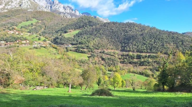 Cantàbria - Camaleño - 7039m2
