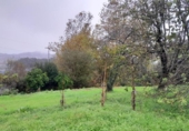Non-developable land for sale on España, Torrelavega, ref: TR125842 photo