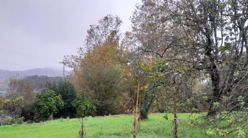Cantàbria - Torrelavega - 2350m2