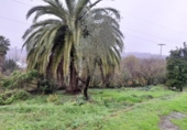 Non-developable land for sale on España, Torrelavega, ref: TR125842 photo