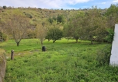 Xalet independent amb terreny en venda a la España, Ponferrada, ref.: TR177472 foto