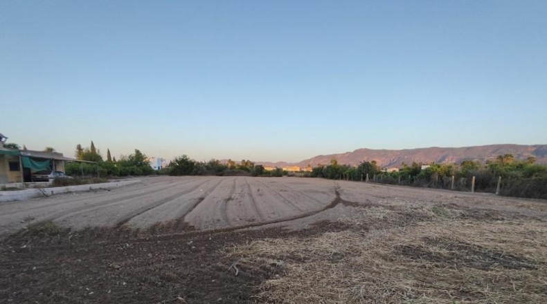 Murcia - Murcia - 5259m2