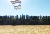 Terreno no urbanizable en venta en la España, Arcos de la Frontera, ref: TR121919 foto