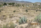 Land suitable for development for sale on España, Monóvar, ref: TR122101 photo
