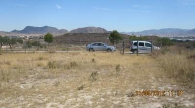 Alicante - Monóvar - 43000m2
