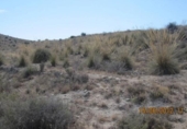 Land suitable for development for sale on España, Monóvar, ref: TR122101 photo
