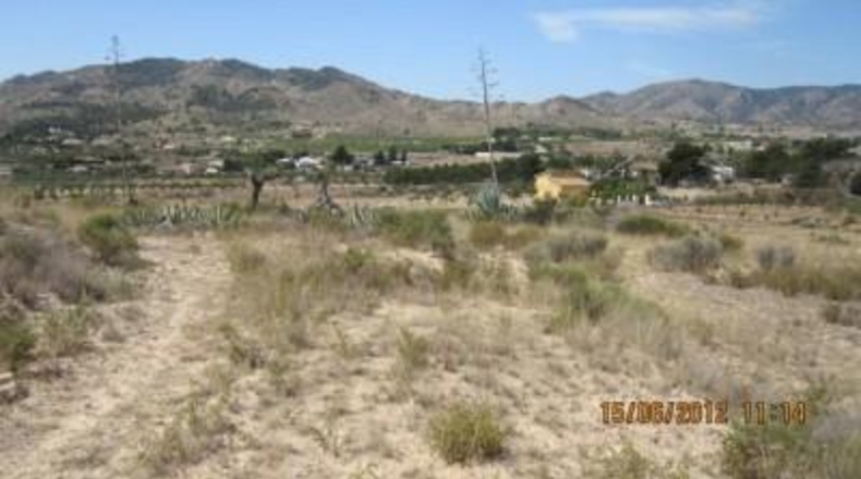 Alicante - Monóvar - 43000m2