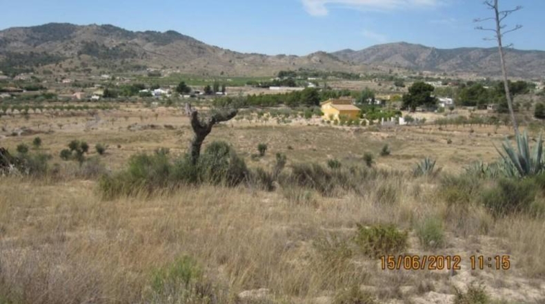 Alicante - Monóvar - 43000m2