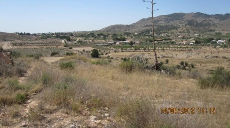 Alicante - Monóvar - 43000m2
