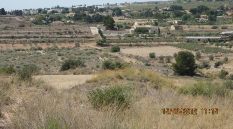 Alicante - Monóvar - 43000m2