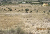 Land suitable for development for sale on España, Monóvar, ref: TR122101 photo
