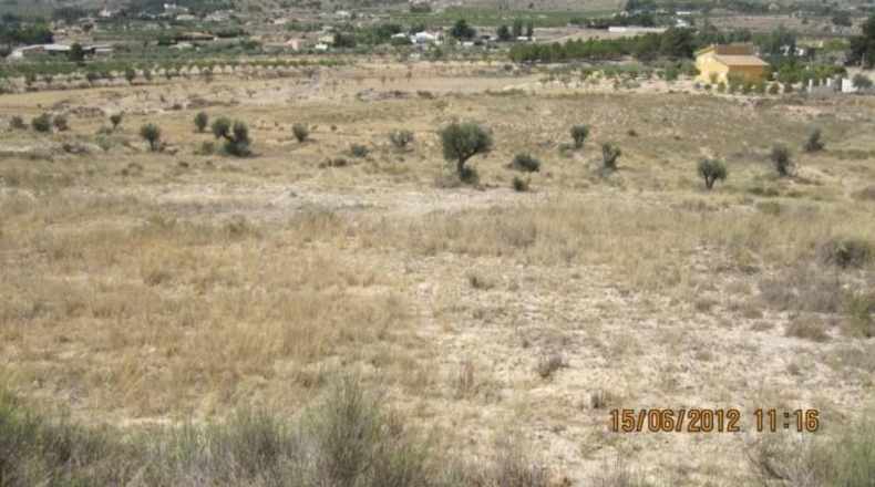 Alicante - Monóvar - 43000m2