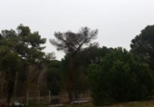 Suelo urbano en venta en la España, Viana de Cega, ref: TR122158 foto