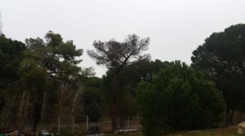 Valladolid - Viana de Cega - 1330m2