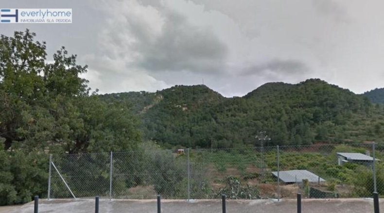 València - Segart - 335m2