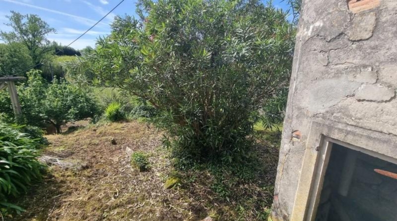 Pontevedra - Sanxenxo - 378m2