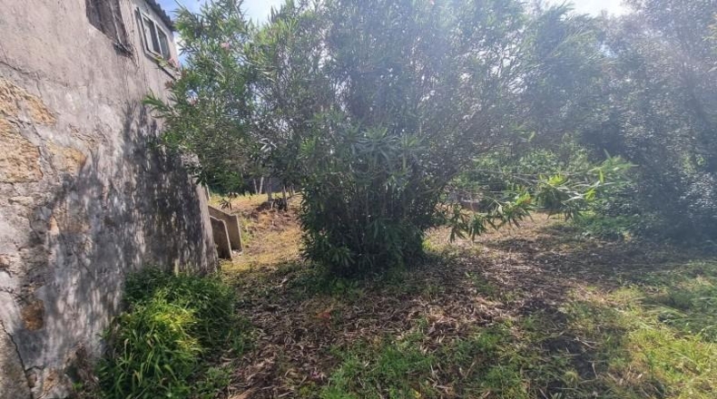 Pontevedra - Sanxenxo - 378m2