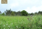 Land suitable for development for sale on España, A Laracha, ref: TR113987 photo