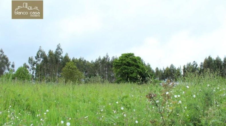 La Corunya - A Laracha - 3476m2