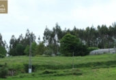 Land suitable for development for sale on España, A Laracha, ref: TR113987 photo
