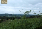 Land suitable for development for sale on España, A Laracha, ref: TR113987 photo