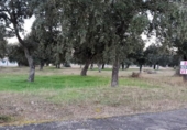 Sòl urbà en venda a la España, Galindo y Perahuy, ref.: TR114362 foto
