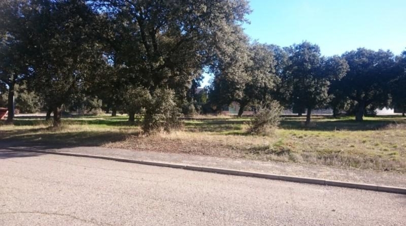 Salamanca - Galindo y Perahuy - 7770m2