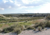 Terreno no urbanizable en venta en la España, Molina de Segura, ref: TR114517 foto