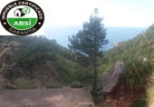Non-developable land for sale on España, Port d'Andratx, ref: TR114592 photo