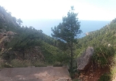 Non-developable land for sale on España, Port d'Andratx, ref: TR114592 photo