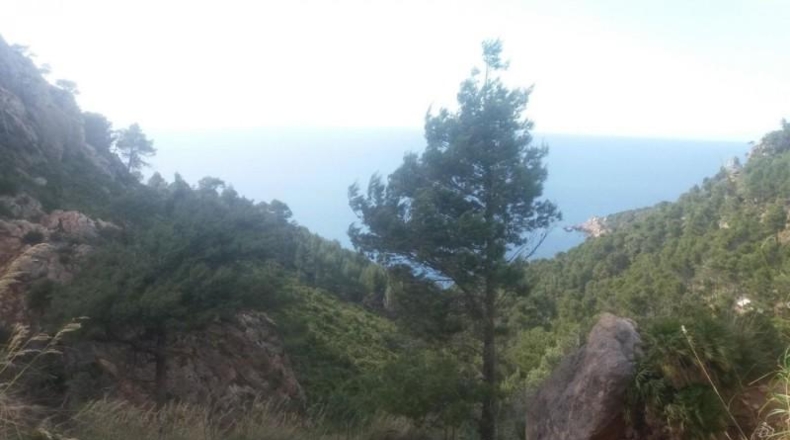 Balearic Islands - Andratx - 30292m2