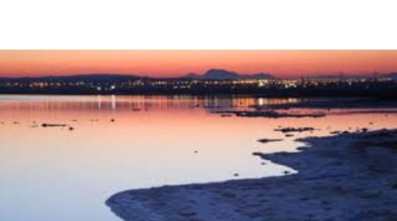 Alicante - Dehesa de Campoamor - 294m2