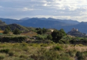 Terreny no urbanitzable en venda a la España, Petrer, ref.: TR114870 foto