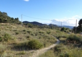 Terreny no urbanitzable en venda a la España, Petrer, ref.: TR114870 foto