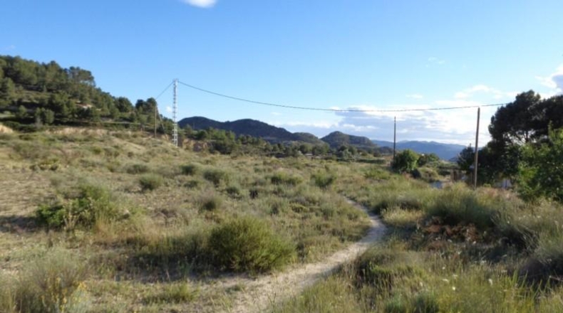Alicante - Petrer - 89000m2