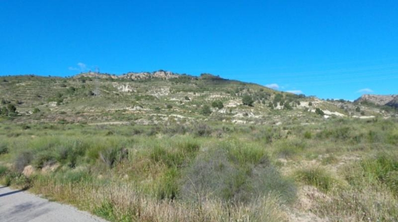 Alicante - Petrer - 89000m2