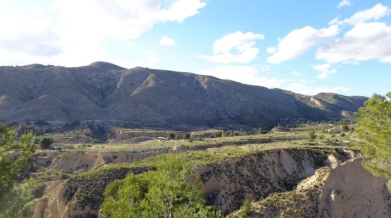 Alicante - Petrer - 89000m2