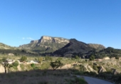 Terreny no urbanitzable en venda a la España, Petrer, ref.: TR114870 foto