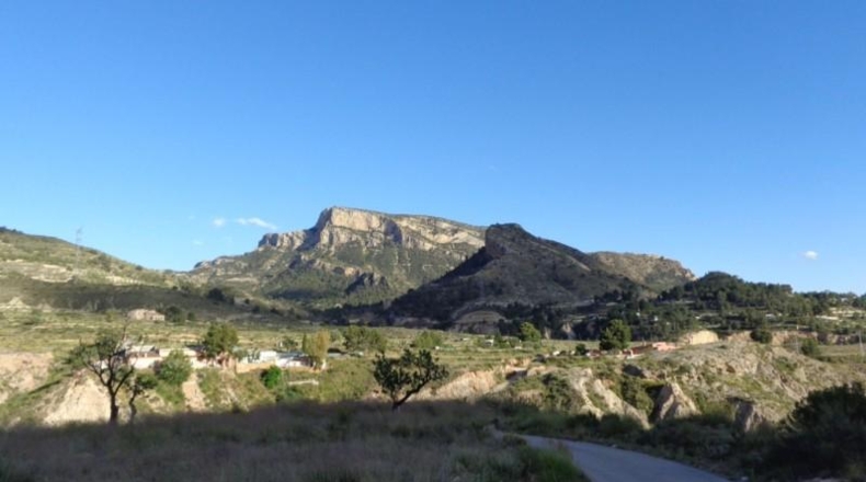 Alicante - Petrer - 89000m2