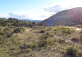 Terreny no urbanitzable en venda a la España, Petrer, ref.: TR114870 foto