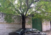Parcela urbanizable en venta en la España, Lucena, ref: TR116361 foto