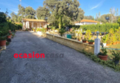 Non-developable land for sale on España, Villaharta, ref: TR116570 photo