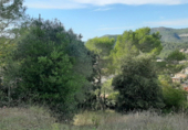 Urban land for sale on España, Canyelles, ref: TR116878 photo