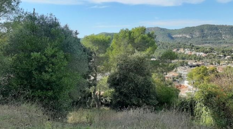 Barcelona - Canyelles - 745m2